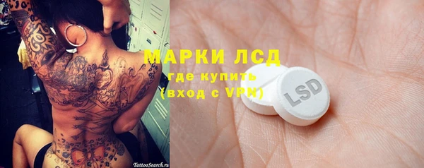 прущие грибы Белокуриха