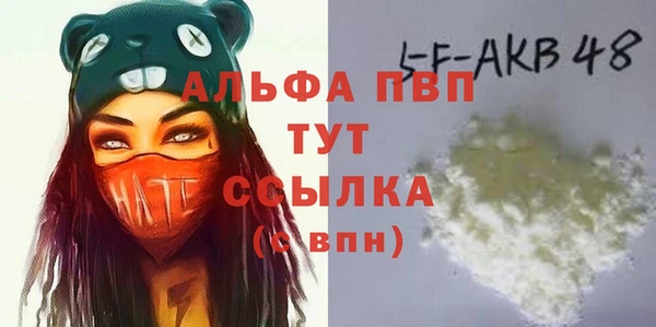 прущие грибы Белокуриха