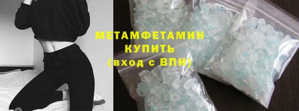 прущие грибы Белокуриха