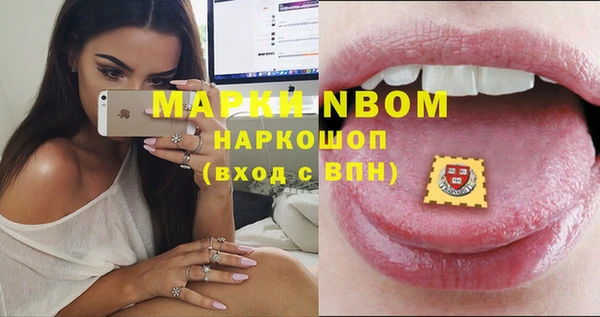 прущие грибы Белокуриха