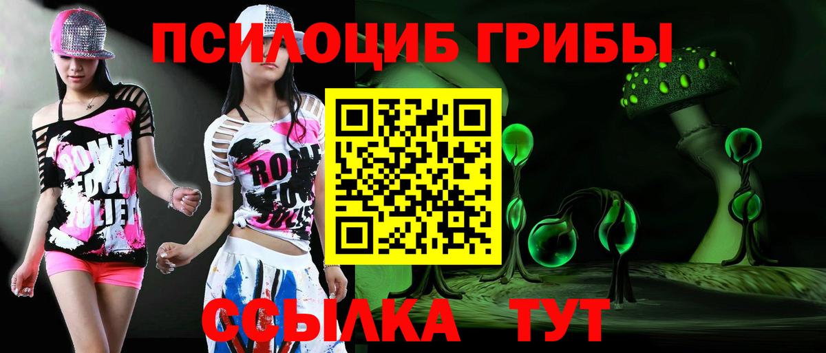 Дальнегорск  Галлюциногенные грибы мицелий  Вход с VPN  Псилоцибиновые грибы Cubensis 